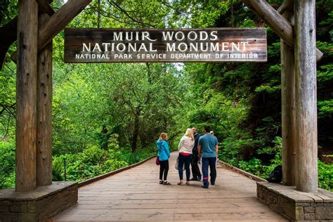 tours from san francisco to muir woods